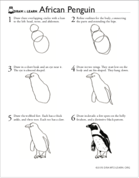 How to Draw an African Penguin Worksheet - Dawn Pedersen, Artist