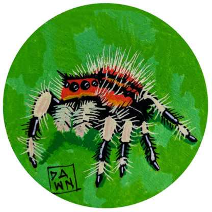 Jumping spider hand-painted ornament