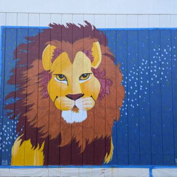 Lion mural at Stonegate K-8, work-in-progress